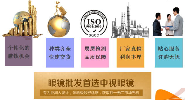 廣州中視眼鏡營銷型網站建設案例