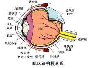 關(guān)于眼鏡銷售技巧