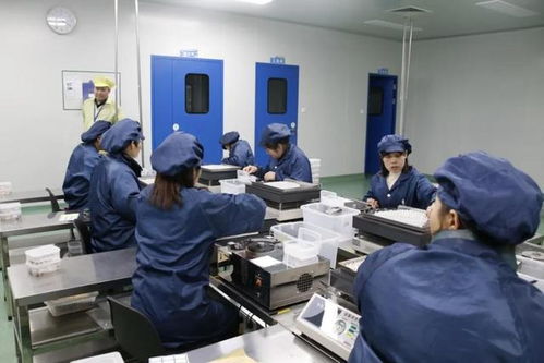 奮進2021 新春開新局 邵東經開區多家企業集體復工