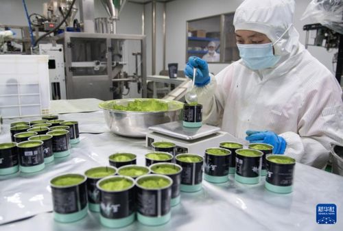 大別山下抹茶香