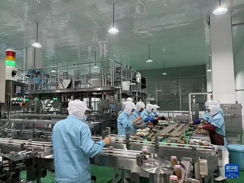 日本の食品メーカー 四川省でザーサィ生產 伝統制法守る